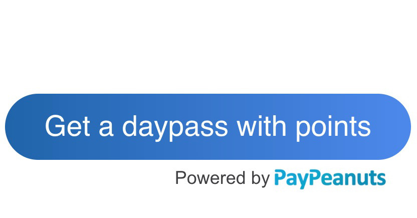PayPeanuts daypass